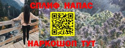 гашик Можга