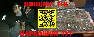 гашик Можга