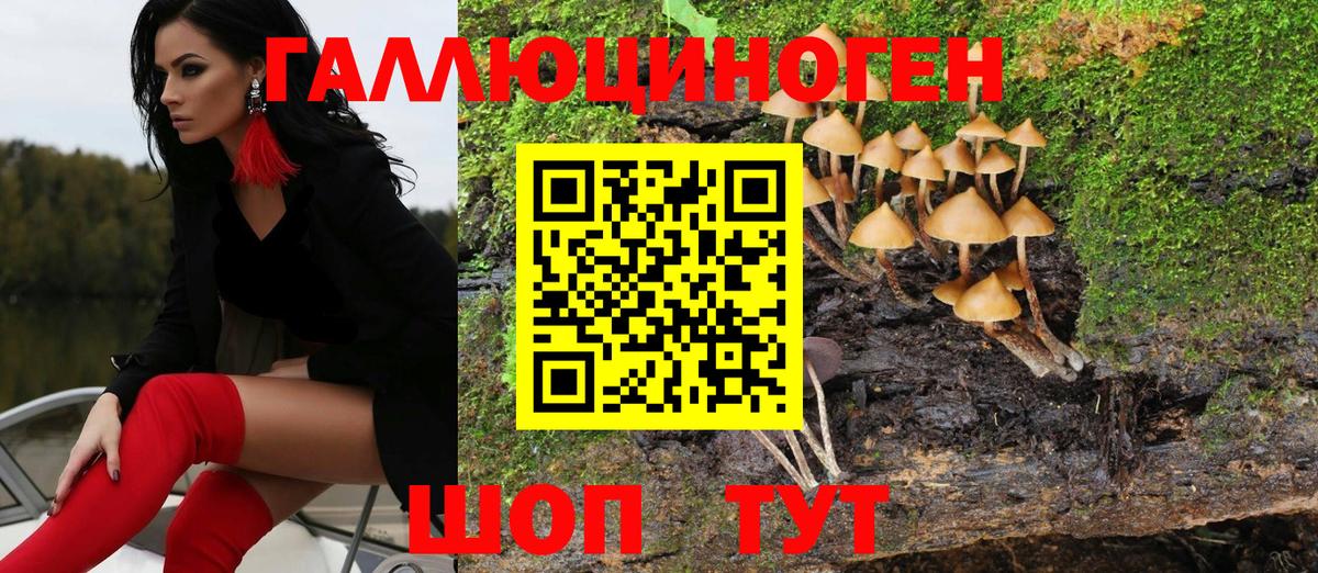 Псилоцибиновые грибы мицелий Дзержинск