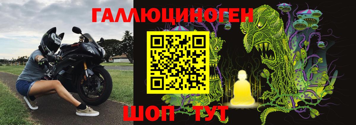 Дзержинск  Галлюциногенные грибы Cubensis  Вход с VPN 